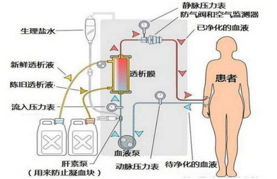 458cdad572bf47ed80686a0904565cc4.png