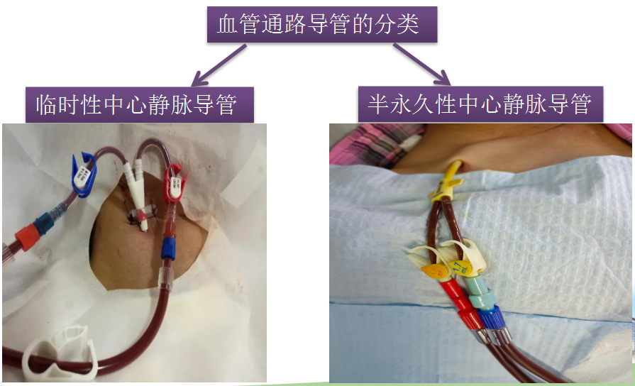 56a103c8355c4b38ac9651de6058d994.png