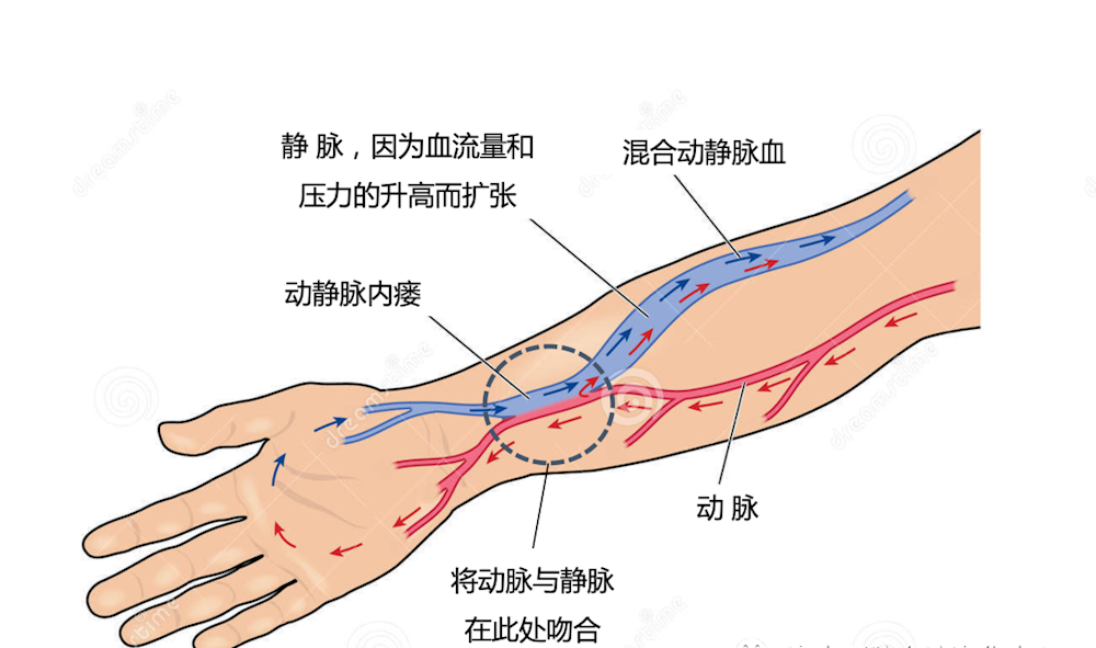 6534c5eb67814d3fb7dff6049ce9edf9.png