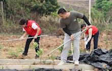共植希望之树，同传中药文化——党团共建植树节活动圆满举行