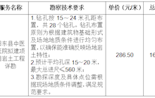 田东县中医医院拟建项目岩土工程详勘院内采购成交结果公告