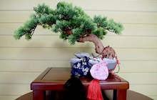 【中药芳香】我院特推出端午香囊 与您共迎端午