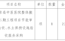 田东县中医医院整体搬迁二期工程项目节能审查验收、水土保持设施验收服务采购成交结果公告