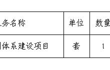 田东县中医医院内部控制体系建设项目采购成交结果公告