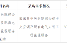 田东县中医医院2025年1月采购意向