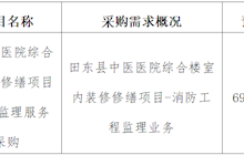 田东县中医医院2025年1月采购意向