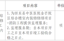 田东县中医医院综合楼室内装修修缮项目-消防工程监理服务院内采购成交结果公告