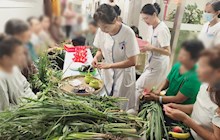 粽香传情，艾护安康——壮医科医患共庆端午