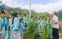 岐黄少年行　本草润童心——2025年田东县中医医院中医药文化夏令营圆满结营